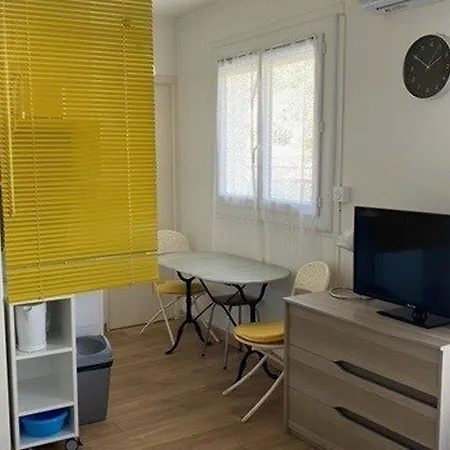 Centre-ville Avec Terrasse, Equipe, Lumineux - Fr-1-703-8 Amelie-les-Bains-Palalda